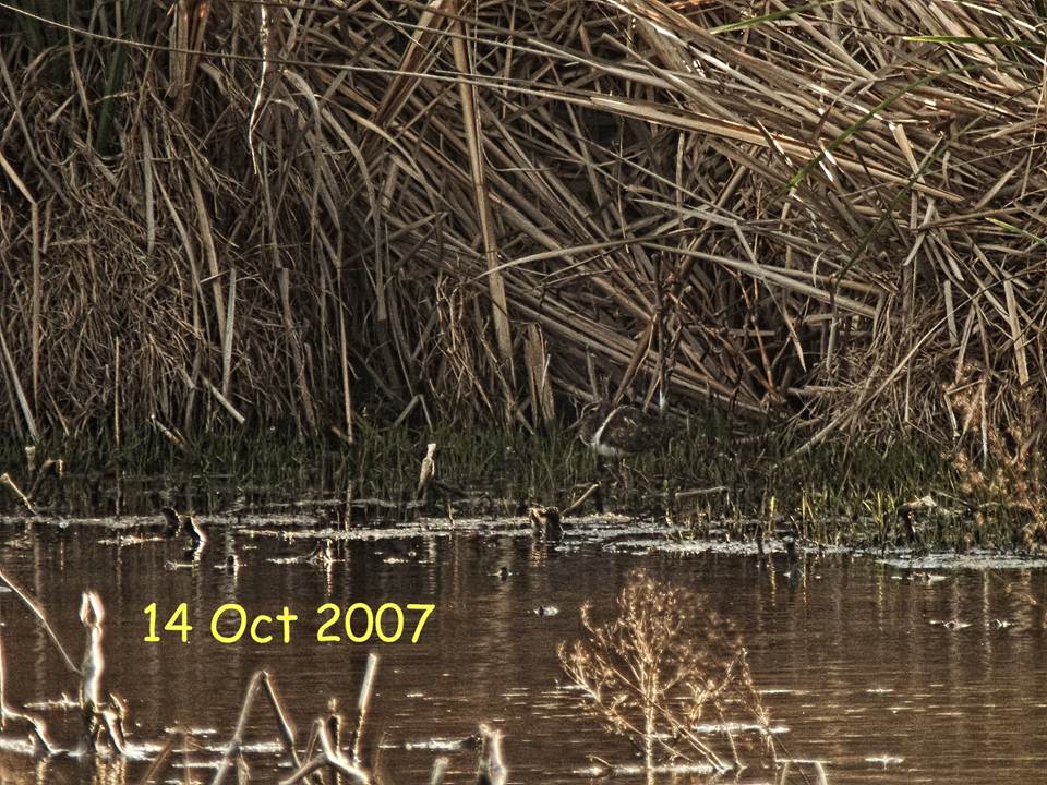 A picture containing text, outdoor, water, pond

Description automatically generated