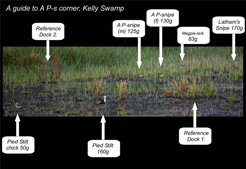 Graphical user interface

Description automatically generated with medium confidence
