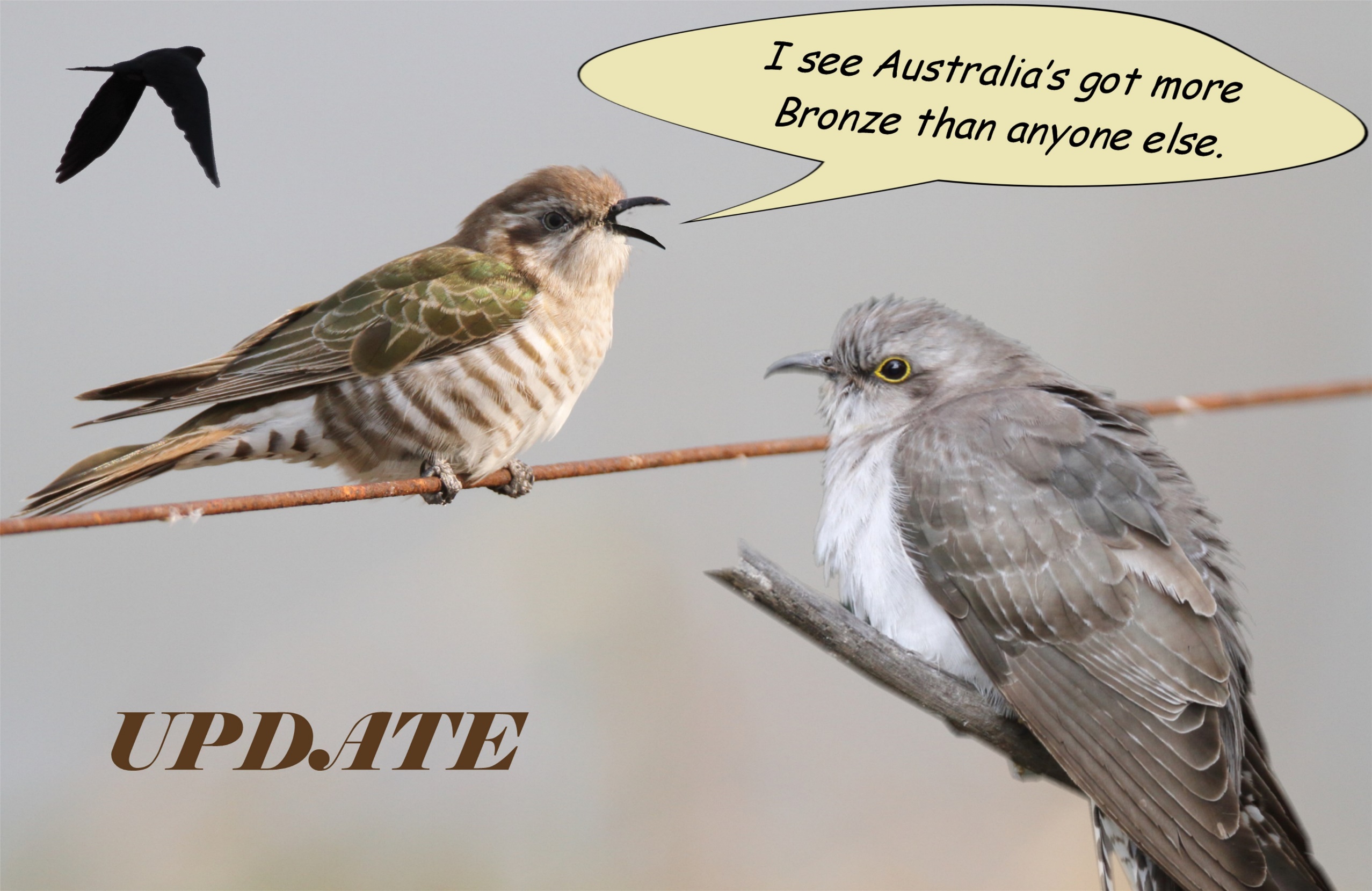 A couple of birds on a branch

Description automatically generated with medium confidence