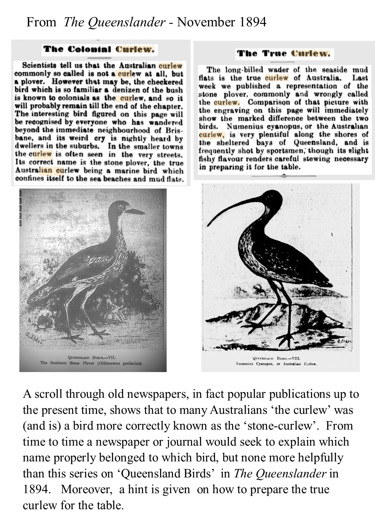 Text

Description automatically generated