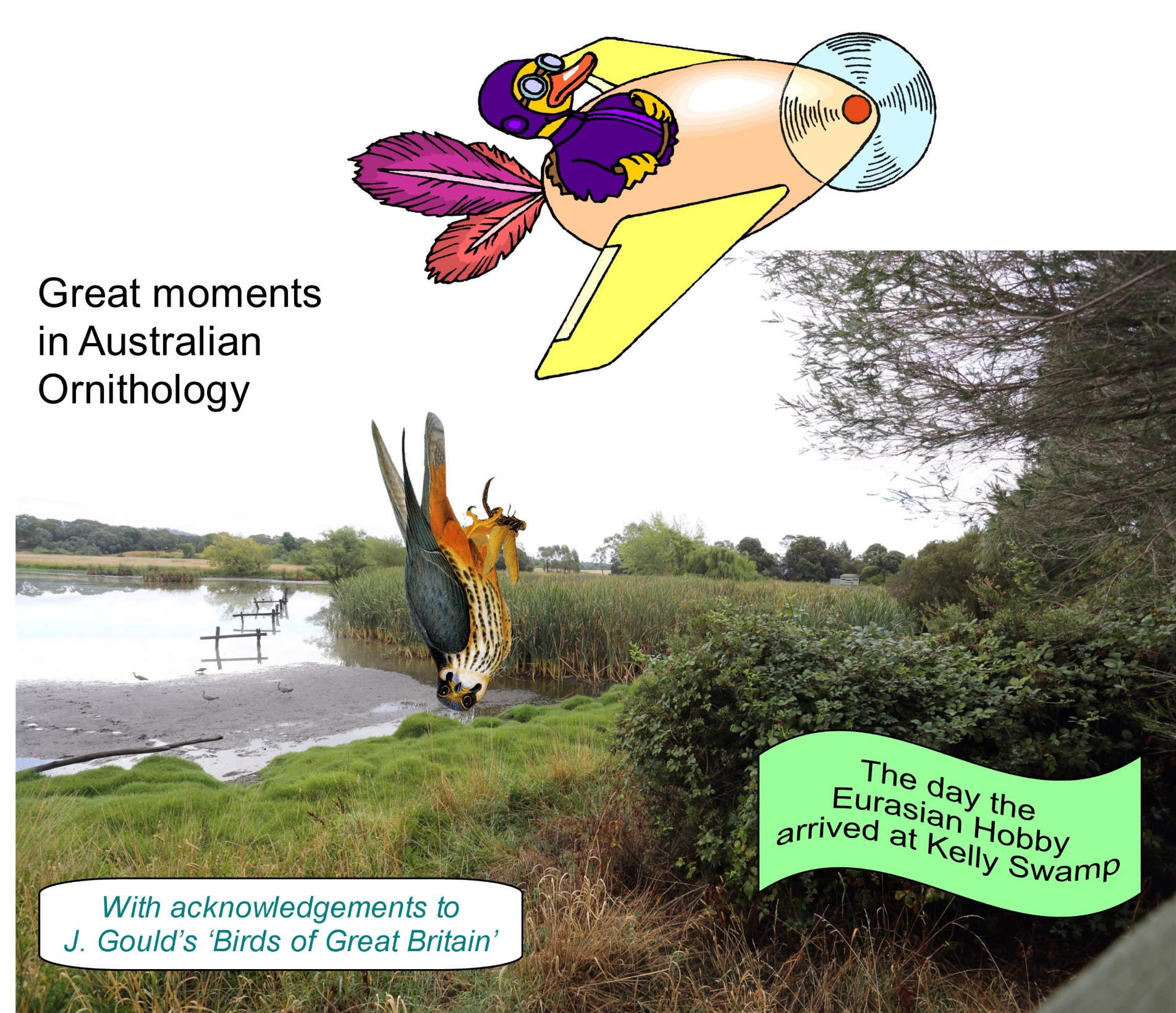 Diagram

Description automatically generated