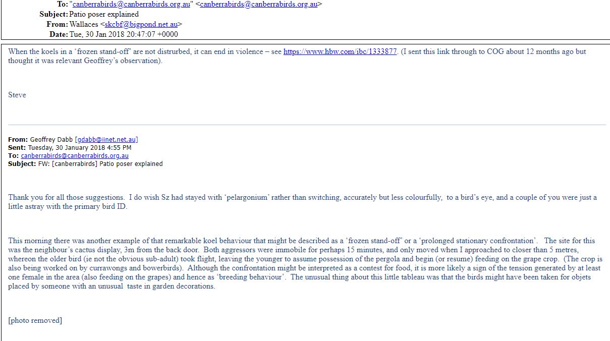 Graphical user interface, text, application, email
Description automatically generated