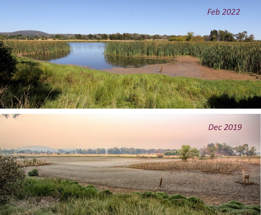 A picture containing grass, river, sky, outdoor

Description automatically generated