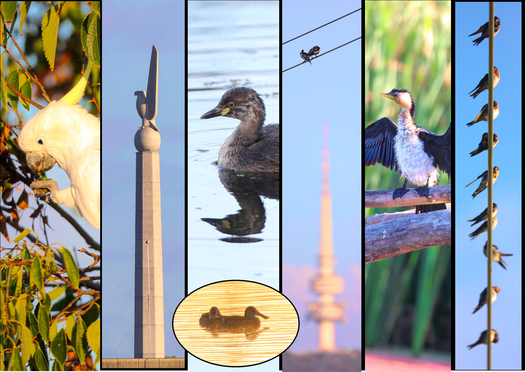 A picture containing text, outdoor, different, same

Description automatically generated