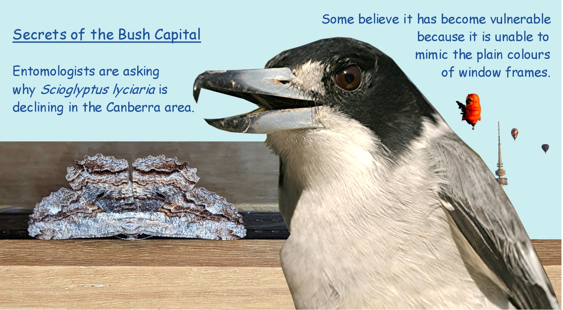 A picture containing text, bird

Description automatically generated