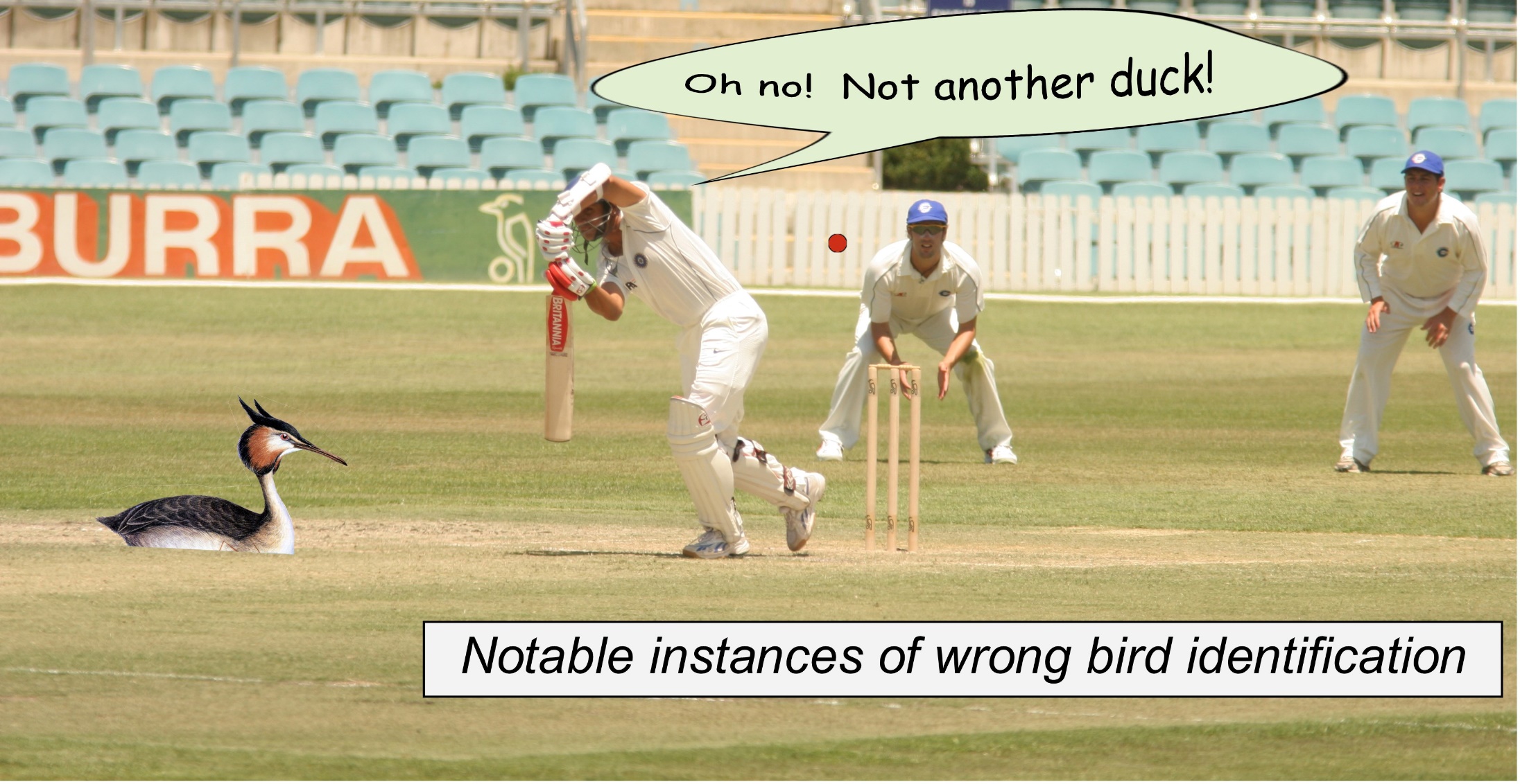A group of men playing cricket

Description automatically generated