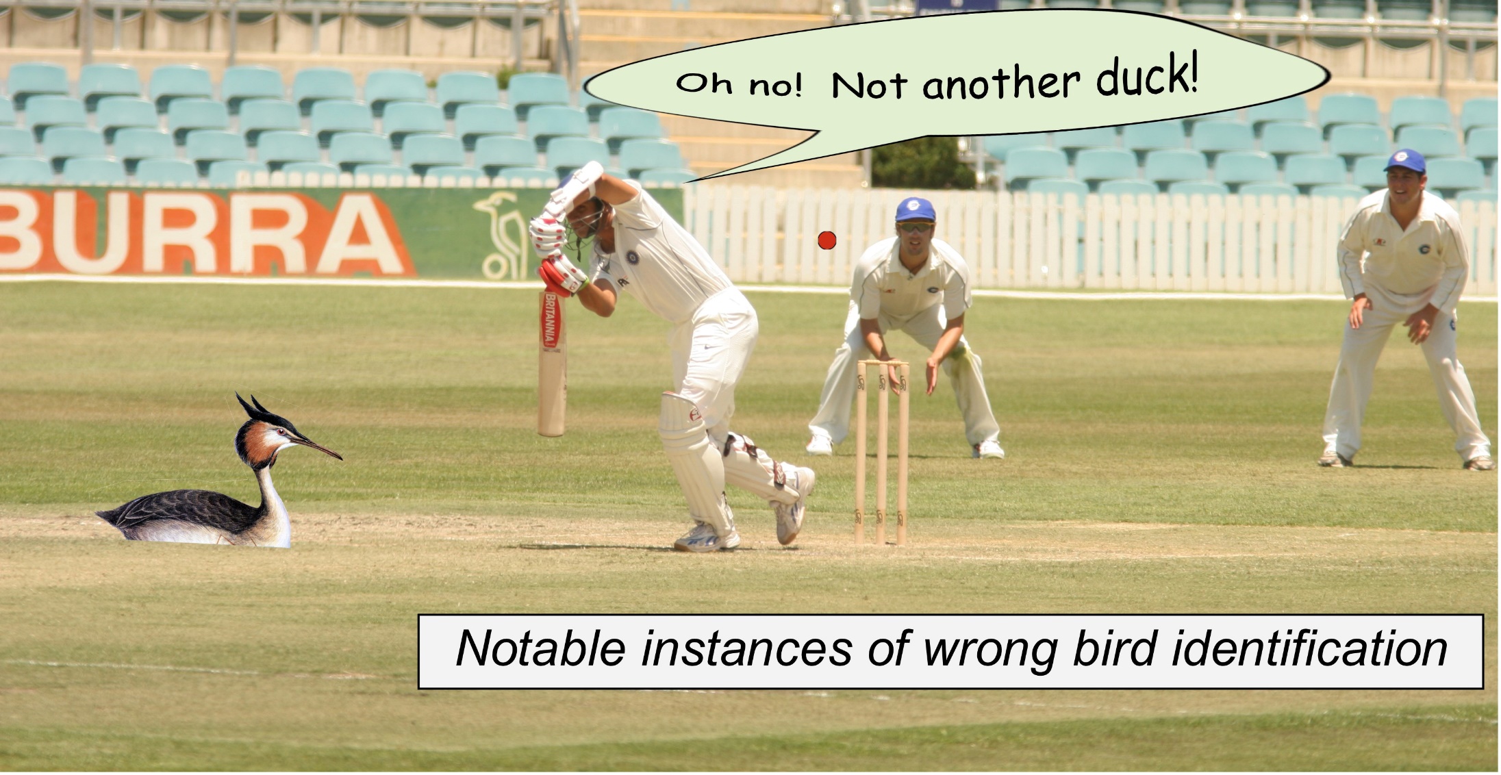 A group of men playing cricket
Description automatically generated