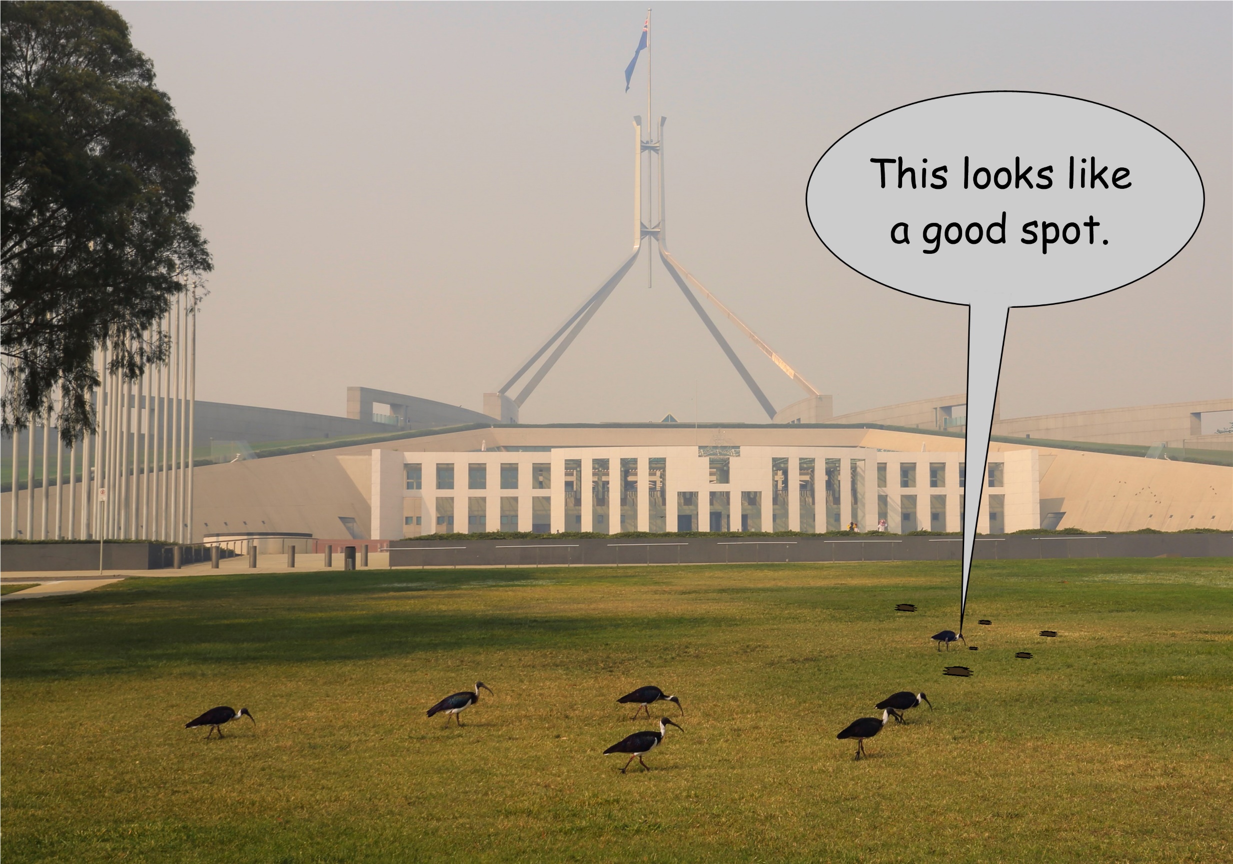 A picture containing text, grass, outdoor

Description automatically generated