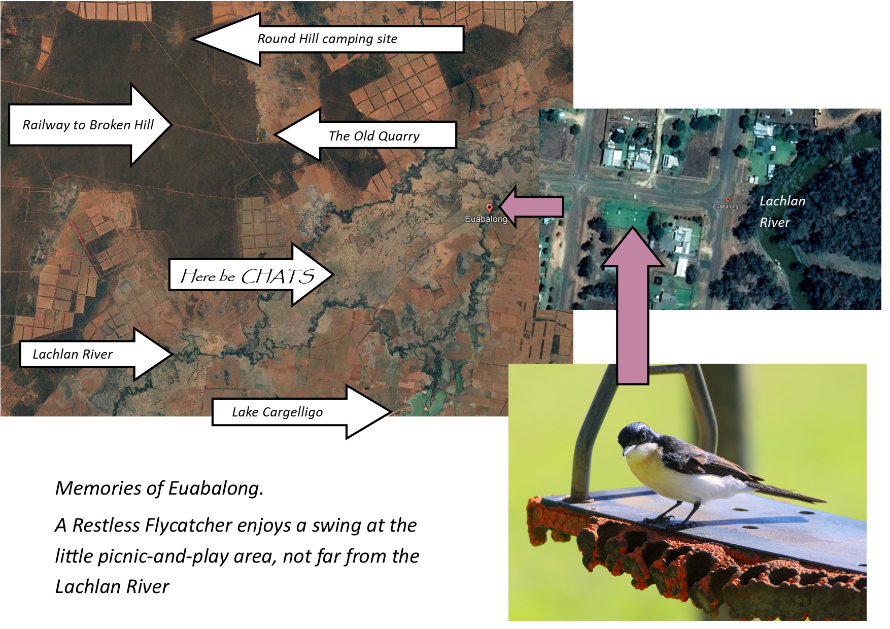 Diagram

Description automatically generated with medium confidence