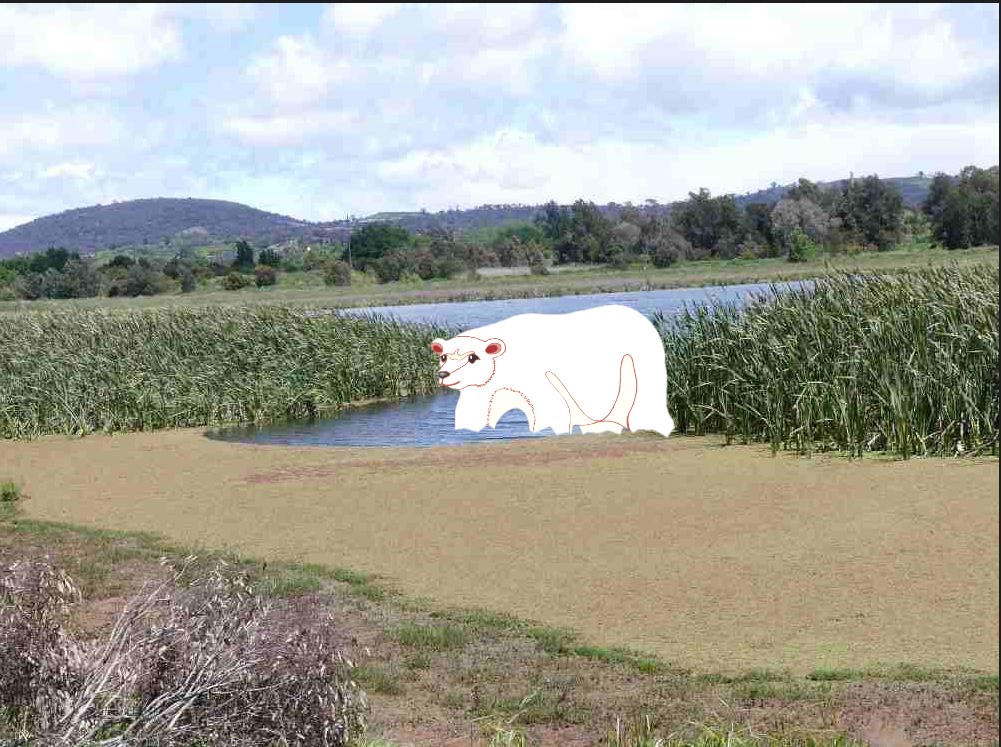 A picture containing grass, outdoor

Description automatically generated