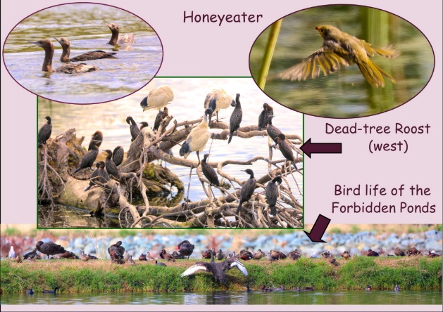 A picture containing text
Description automatically generated