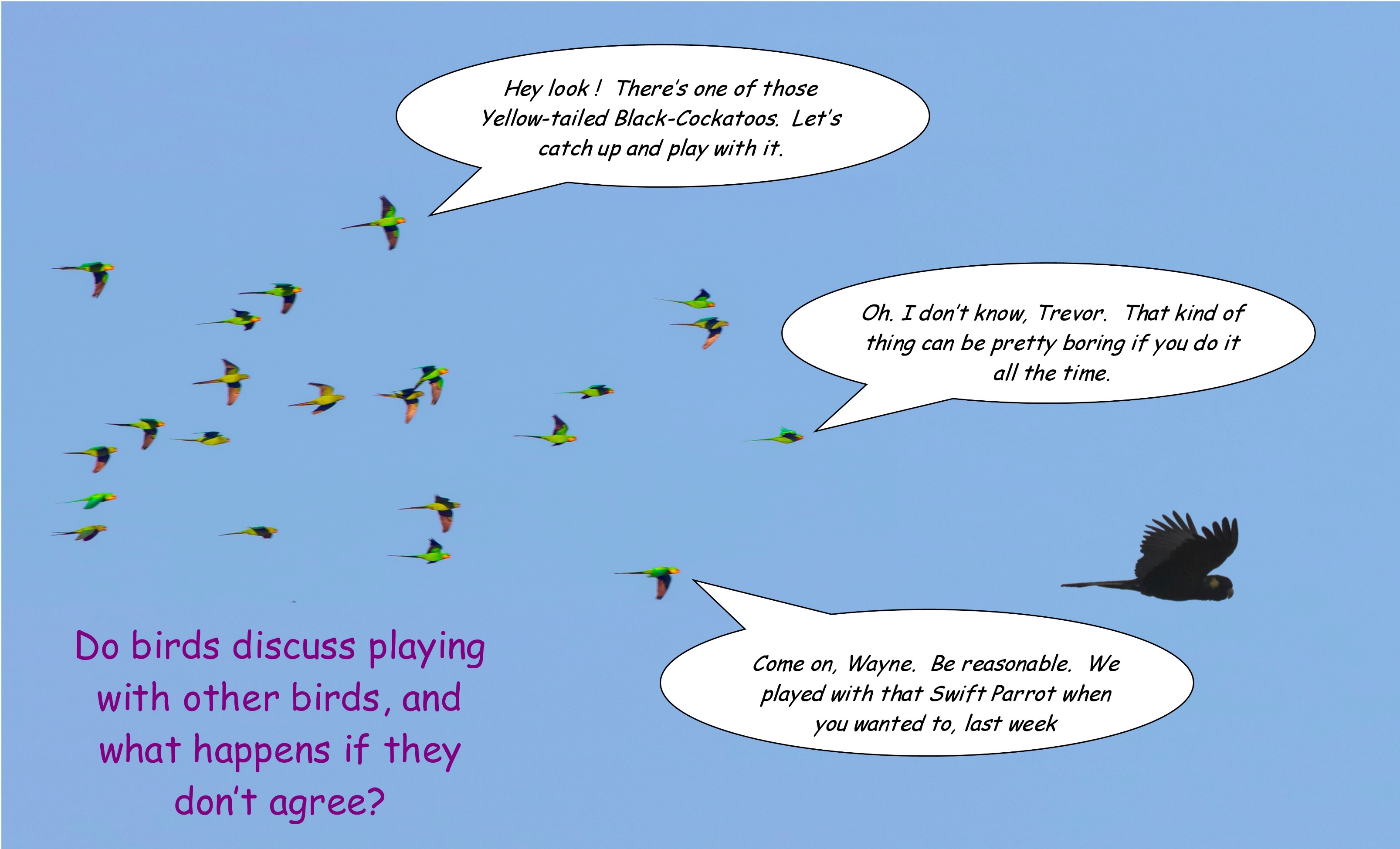 A picture containing text, bird, letter, handwriting
Description automatically generated