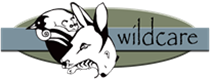 cid:<script language=